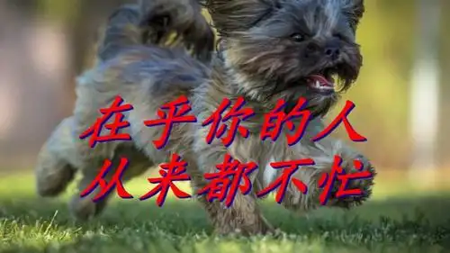 在乎你的人,从来都不忙