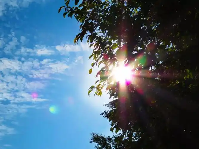 一场生命中不可缺席的全面掌握抗癌心理健康知识讲座