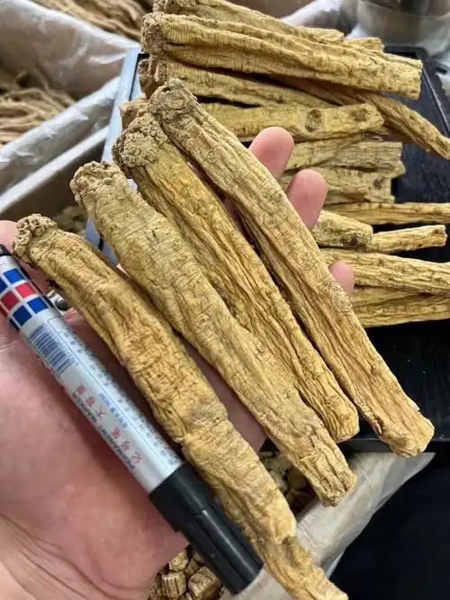 补中益气功效很好的一款纹党参