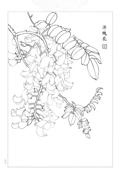 满庭芳工笔白描百花画谱工笔画底稿临摹素材130幅工笔花卉线稿国画