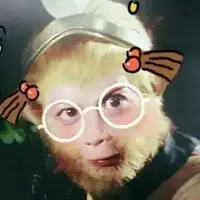 大聪明沙雕头像