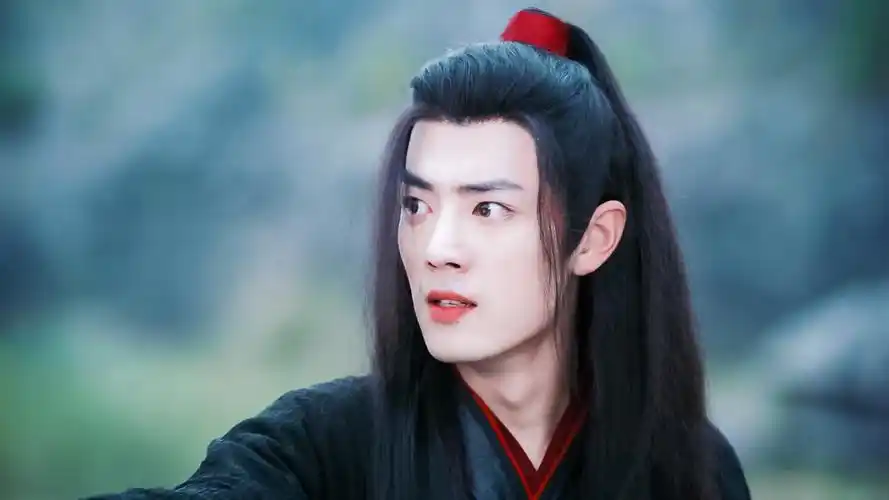 陈情令|魏无羡 - 堆糖,美图壁纸兴趣社区