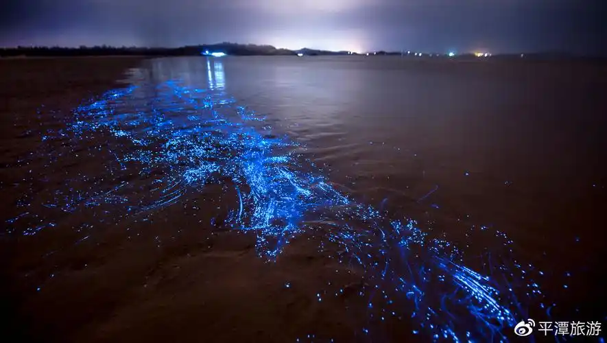 关于蓝眼泪你想了解的都在这儿了