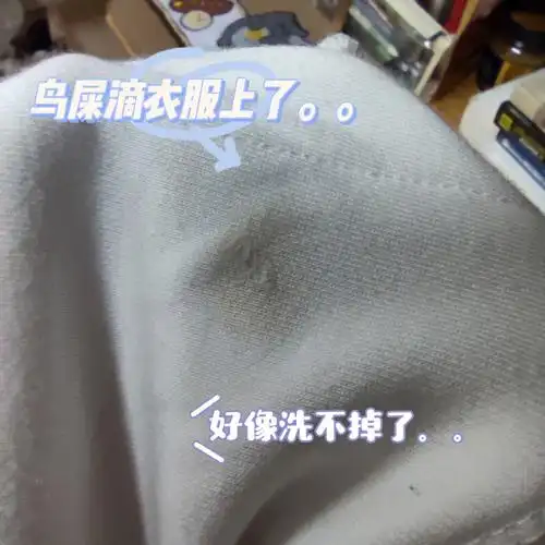 人生第一次走鸟屎运啊,洗也洗不掉,有啥办法吗?