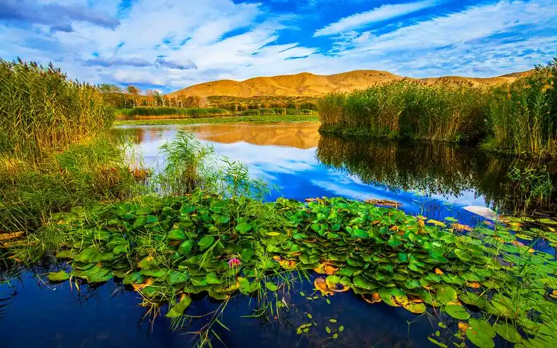 上一张下一张简介唯美自然的湖水风景桌面壁纸,清澈的湖水,绿色的植物