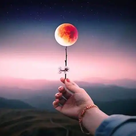 2022适合一辈子头像高清2022年适合永久做头像的图片