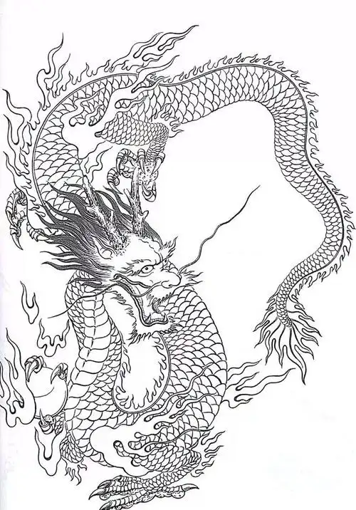 书画鉴赏丨中国龙白描画稿