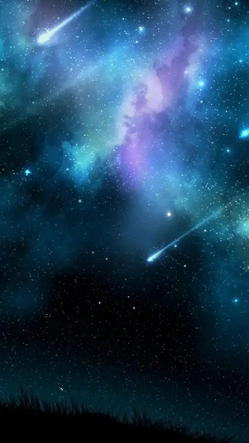 壁纸 夜晚的流星雨,蓝色天空,树木剪影 1920x1200 hd 高清壁纸, 图片