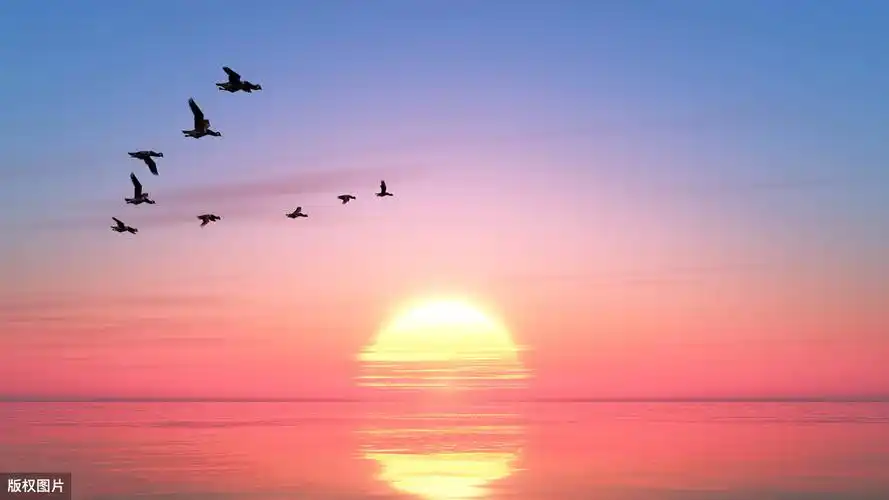 日出江花红胜火,春来江水绿如蓝,最全古诗词中的太阳,建议收藏