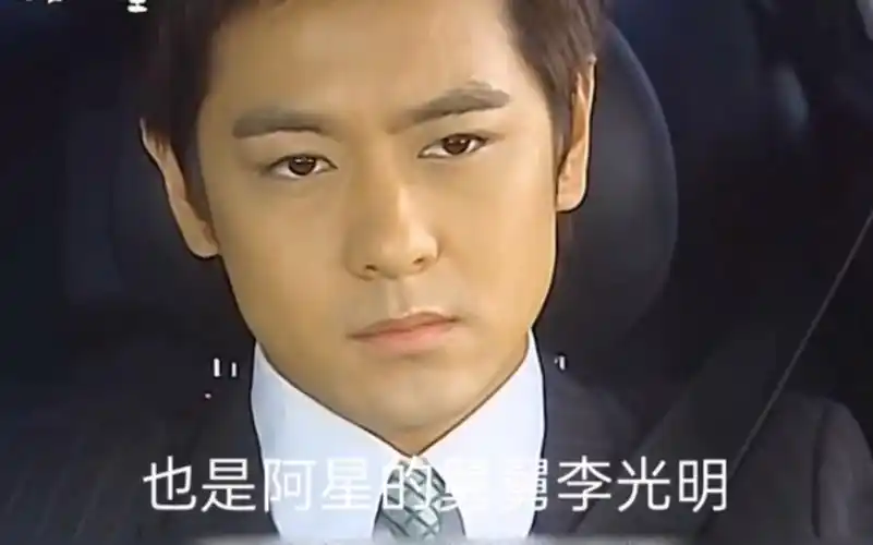 放羊的星星 林志颖