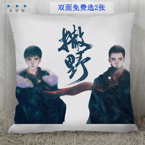 巫哲同人小说撒野抱枕顾飞蒋丞枕头靠垫礼物