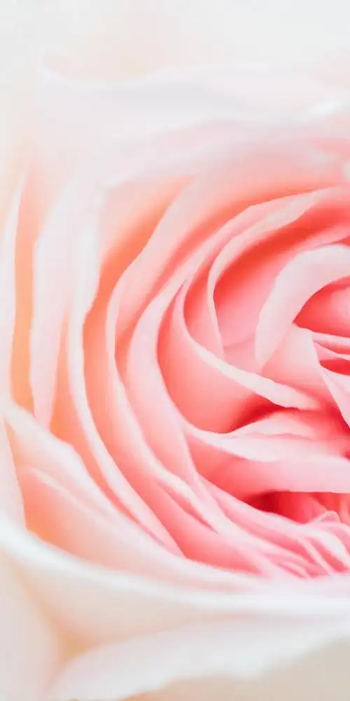 1080_2160竖版 竖屏