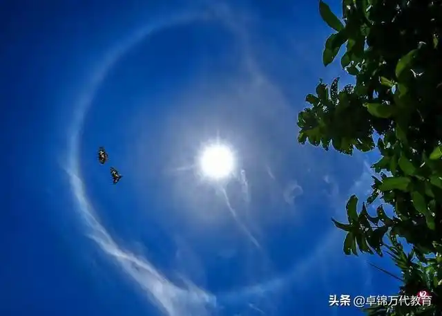 再现艳阳天 | 七彩日晕 环耀狮城_手机搜狐网