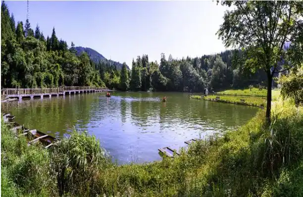 武陵山国家森林公园门票