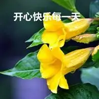 开心快乐每一天字图片_微信头像图片大全