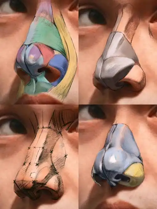 速写鼻子没结构看过来鼻子结构的解析