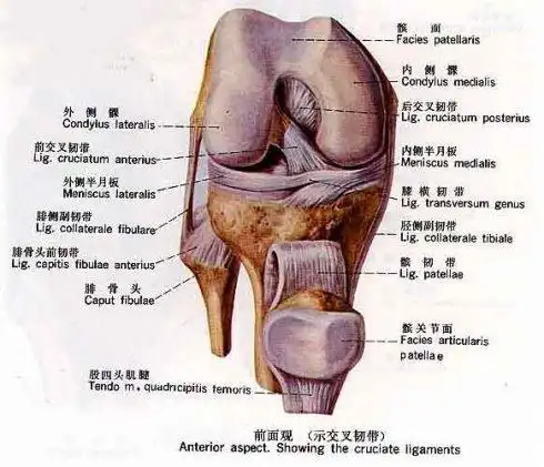 结膜炎的症状及治疗相关文章
