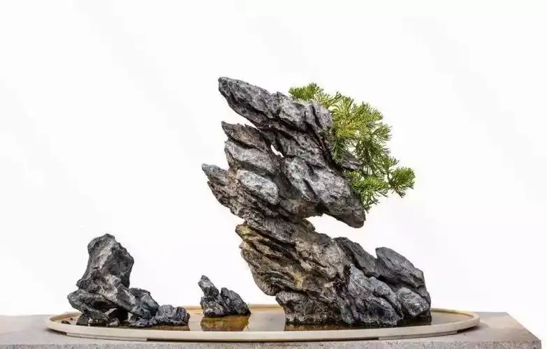 山水盆景中的散点石