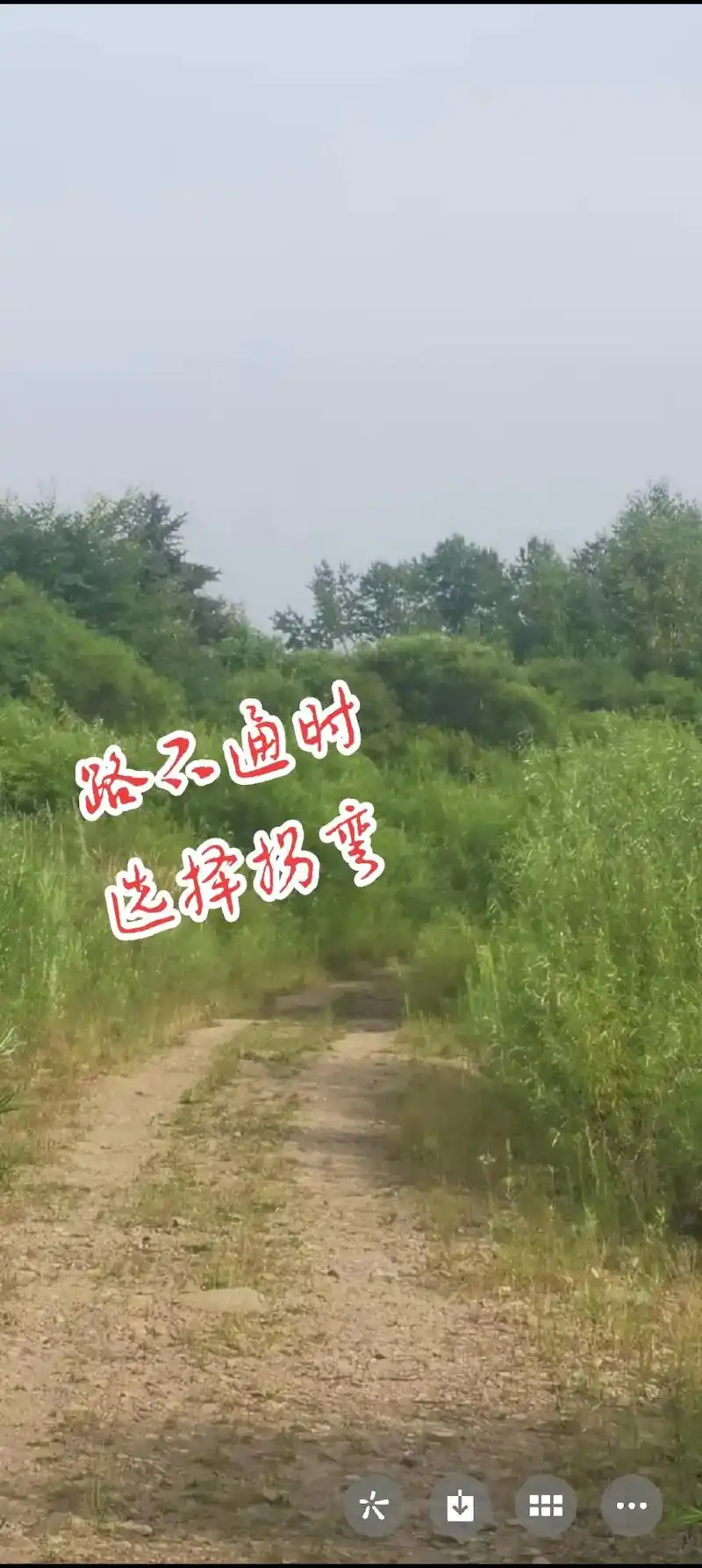 路不通时选择拐弯,心不快时选择看淡,情渐远时选择随意,说容易 - 抖音