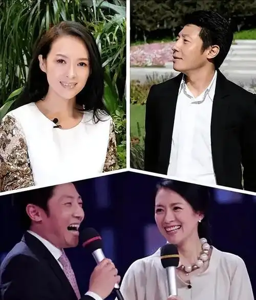 笑不活了章子怡离婚后撒贝宁账号沦陷各种神评涌现太过瘾