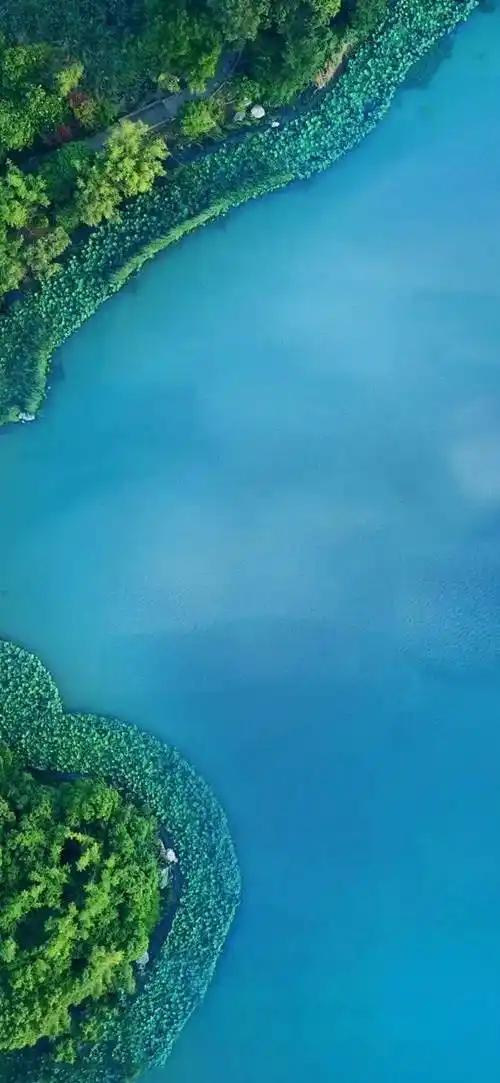 壁纸 风景 摄影 桌面 658_1425 竖版 竖屏 手机