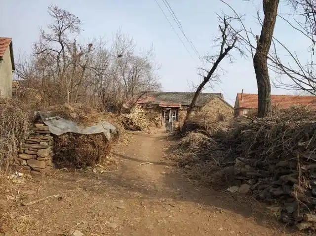 这么淳朴的农村房屋你还能看到吗?实拍山东胶东地区农村住房