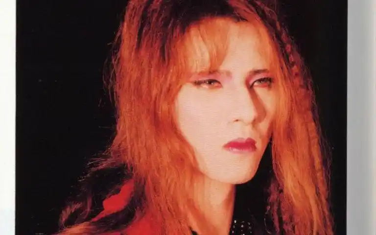 yoshiki v2回顾_标清