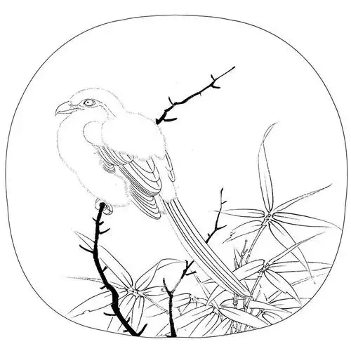 花鸟画丨白描稿