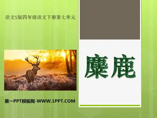 《麋鹿》ppt课件7 详细介绍:标签:麋鹿目录:详细介绍下载地址相关下载