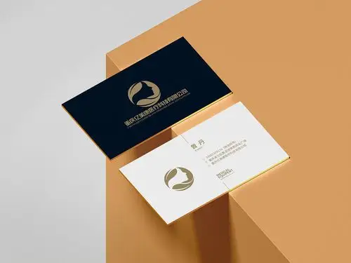 高级品牌总监名片设计|平面|其他平面|苏元强原装设计师 - 原创作品