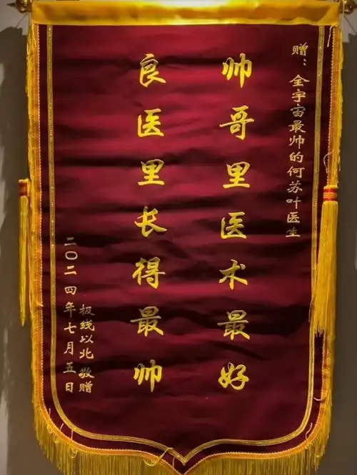 你有看到吗 何医生是个很好的医生 所以要送你锦旗 希望你有一个圆满