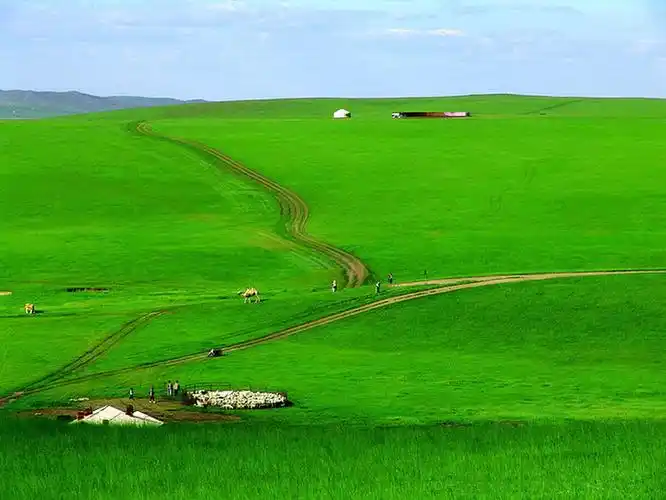 呼伦贝尔草原国家公园,世界最美的草原 - 成军 - 成军的博客