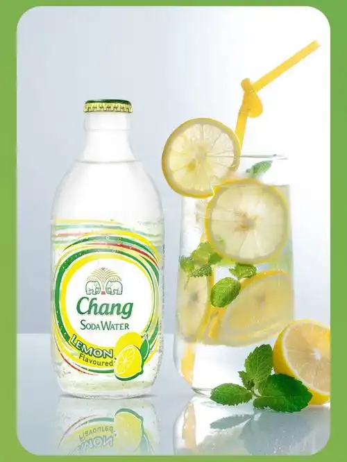 象牌气泡水泰国大象苏打水泰象气泡水0卡象牌碱性矿泉水325ml24瓶整箱