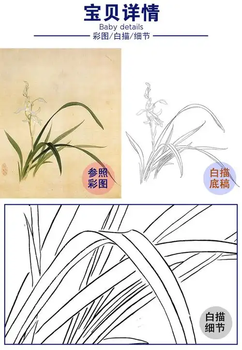 俞致贞工笔花鸟白描底稿兰花秋兰斗方小品册页a371