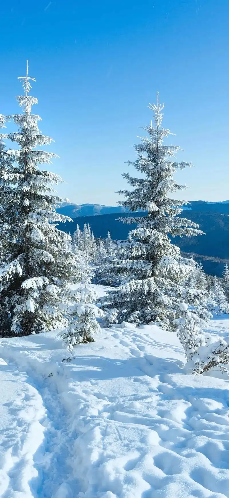 "冬天快乐"#雪景美如画 #高清壁纸4k全屏60帧  - 抖音