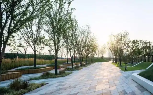 树阵广场,阵列的强势感,花坛形式不一,但整齐有序