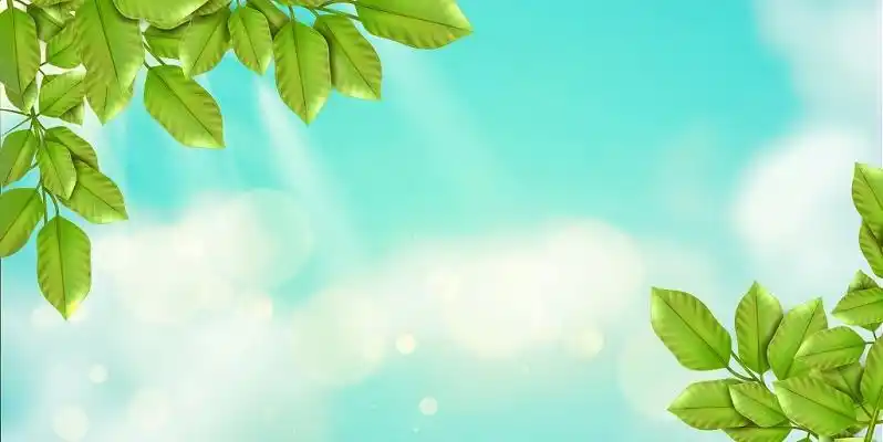 太空清新蓝天树叶绿色背景