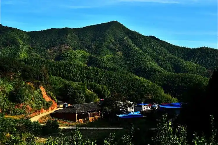 美丽建瓯——小松篇