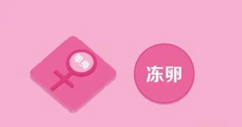 单身女性冻卵,"保险"还是"风险"?_生育_卵子_冷冻