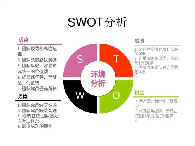 团队swot分析_word文档在线阅读与下载_无忧文档
