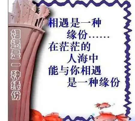 相遇是一种缘分