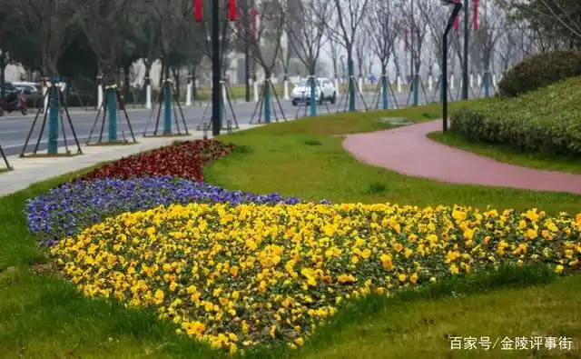 扮美绿色浦口草花上新迎双节