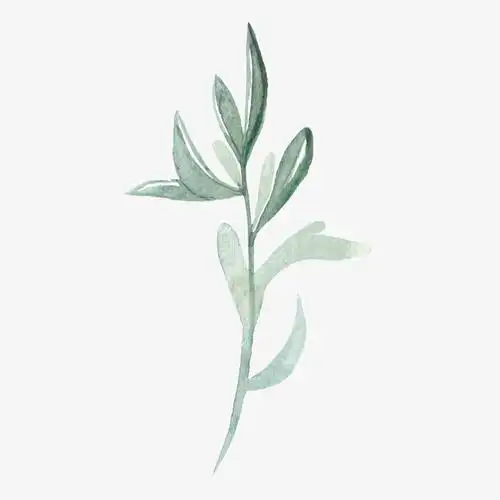 关键词 : 手绘画,叶子,植物,矢量图,装饰,矢量装饰[声明] 觅元素所有