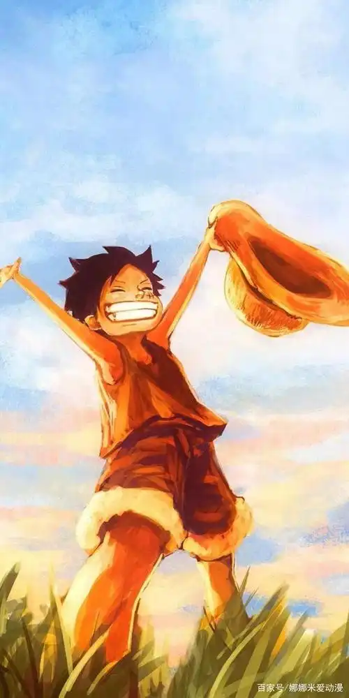 海贼王动漫高清全屏壁纸图片