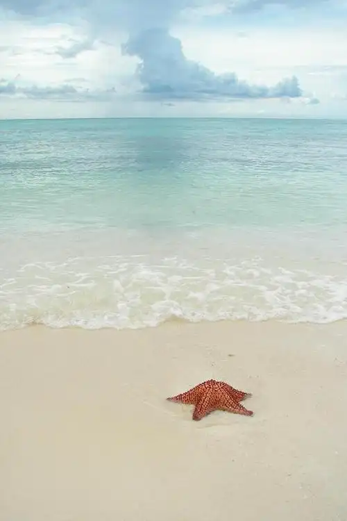 略论沙滩,锁屏图片,高清手机壁纸,风景-回车桌面