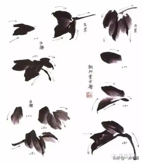 国画教程牵牛花的写意画法