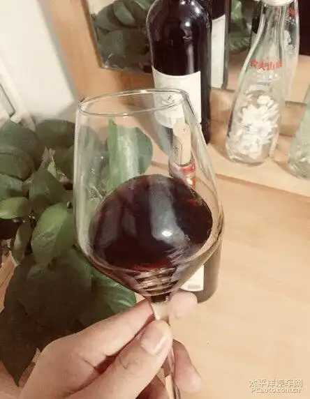 汽车故事会夜色红酒香我与探界者的日常