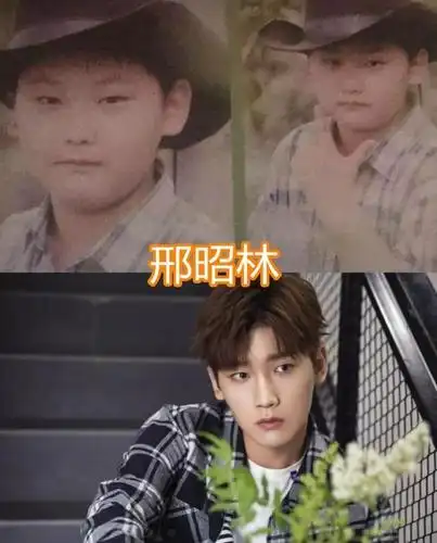 邢昭林[娱乐影响力人物榜78第26名],说到这个名字的时候,相信大家不