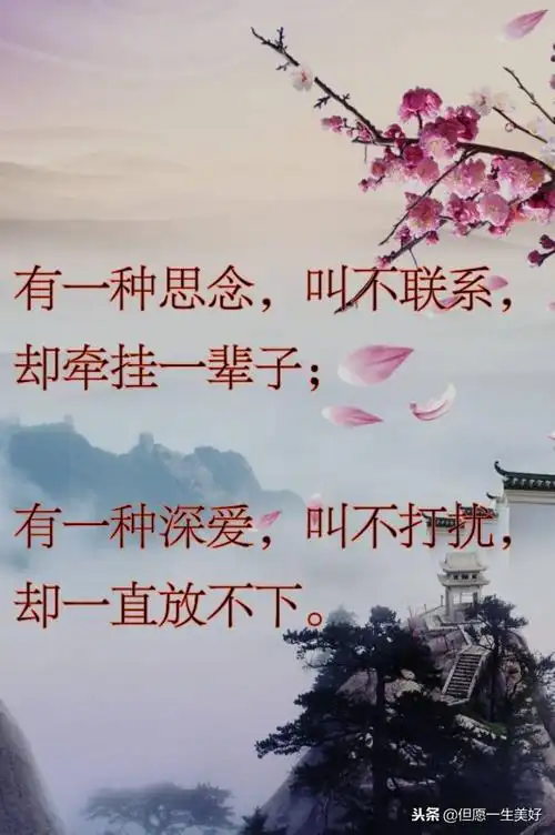 有一种深爱,叫不打扰,有一种想念,叫不联系