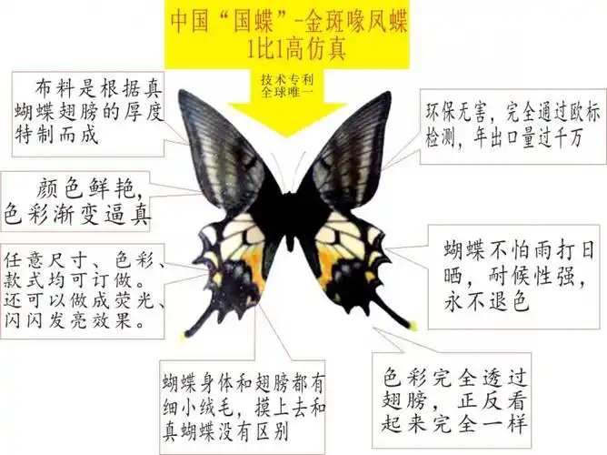 全球独创布艺仿真 蝴蝶发箍 儿童发箍 专利产品仿造必究